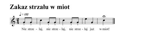 04 zakaz strzalu w miot