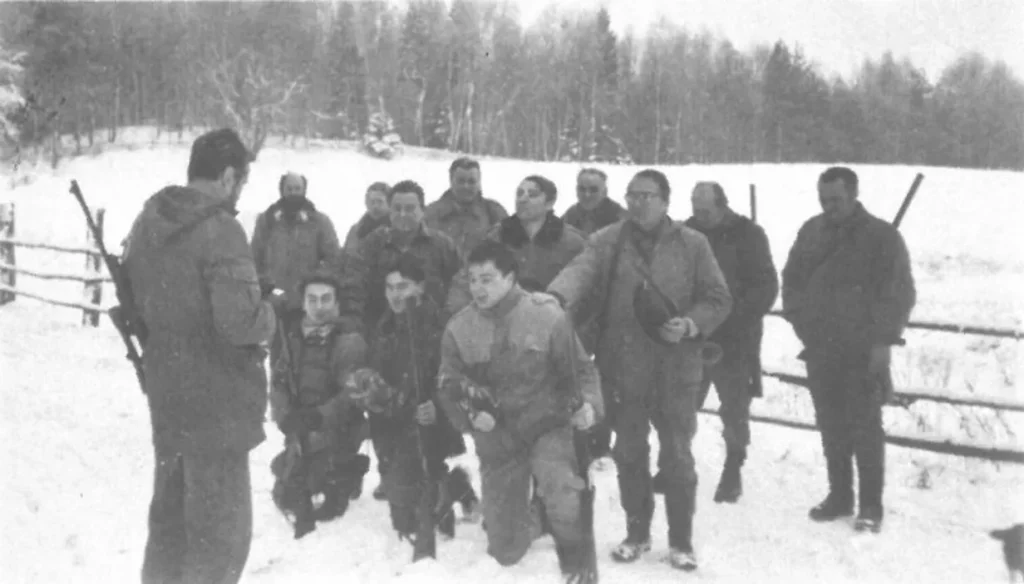 snewcastle20052916340 0005 768x438