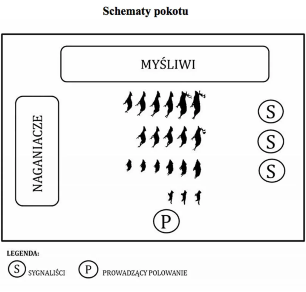 schemat pokotu